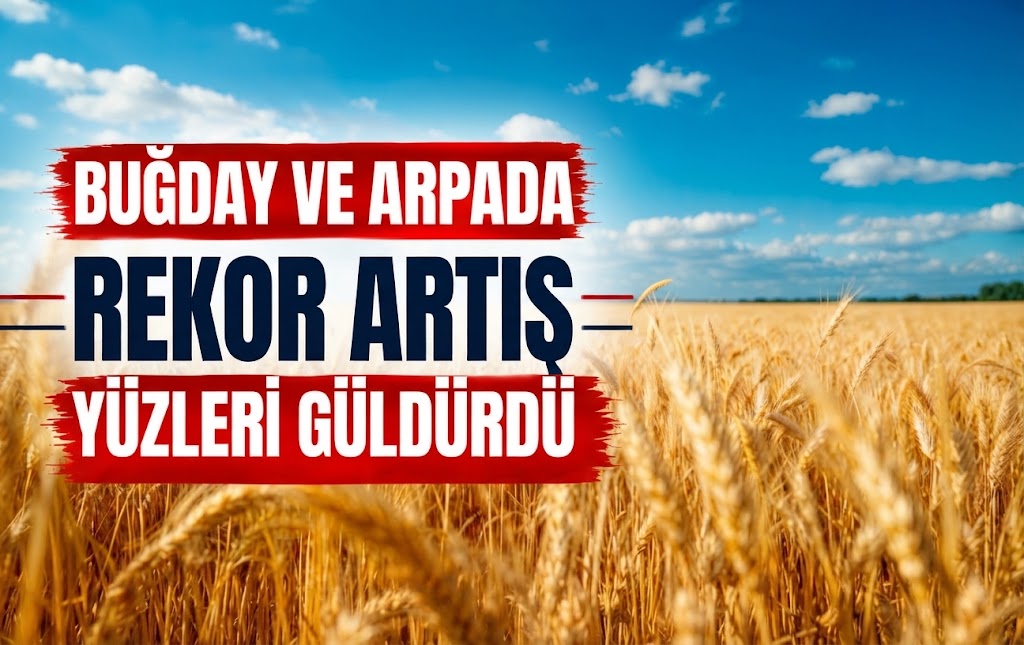 Buğday ve Arpada Rekor Artış Yüzleri Güldürdü