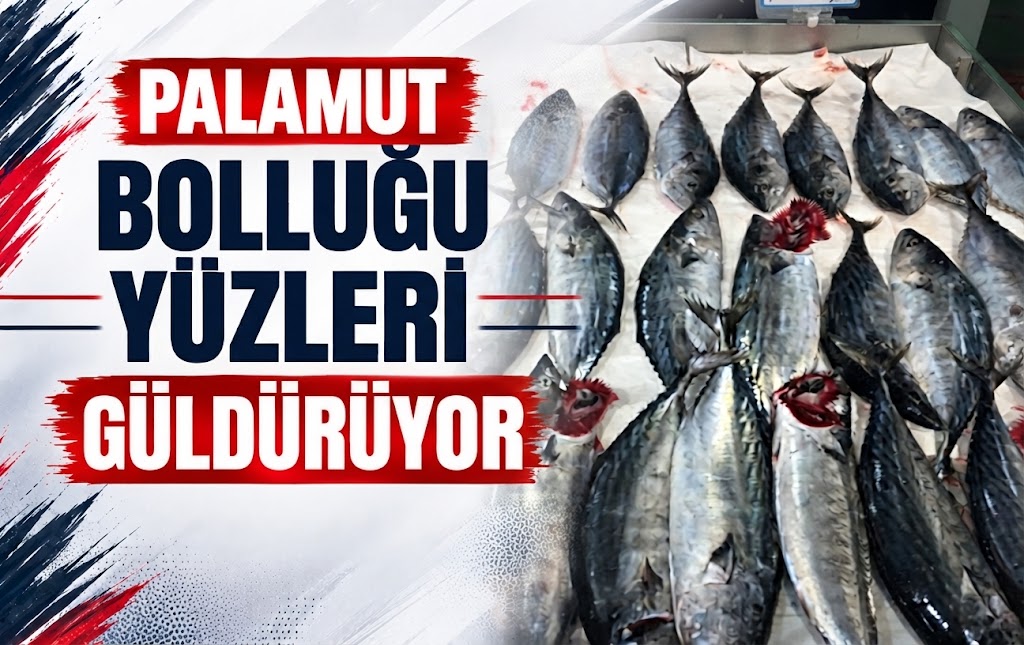 PALAMUT BOLLUĞU YÜZLERİ GÜLDÜRÜYOR - Galeri