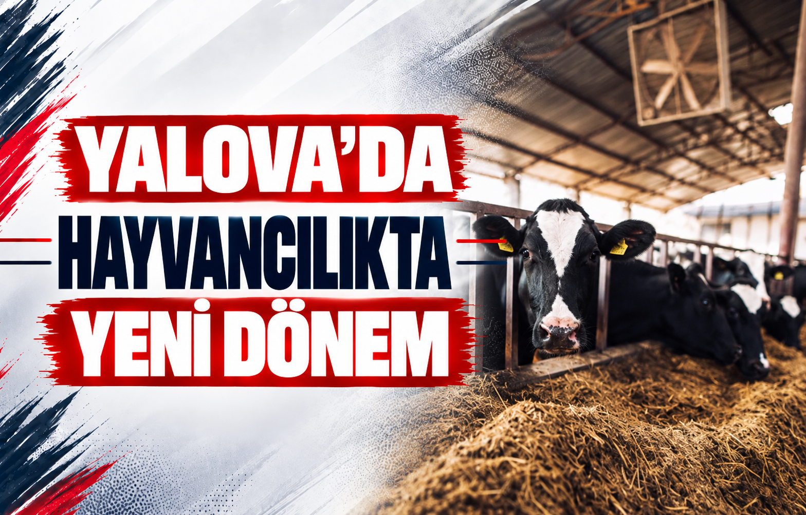 Yalova'da Hayvancılıkta Yeni Dönem