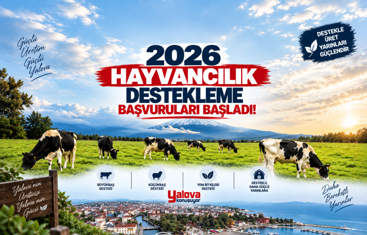Yalovalı Üreticilerin Beklediği Haber Geldi: 2026 Hayvancılık Destekleme Başvuruları Başladı!