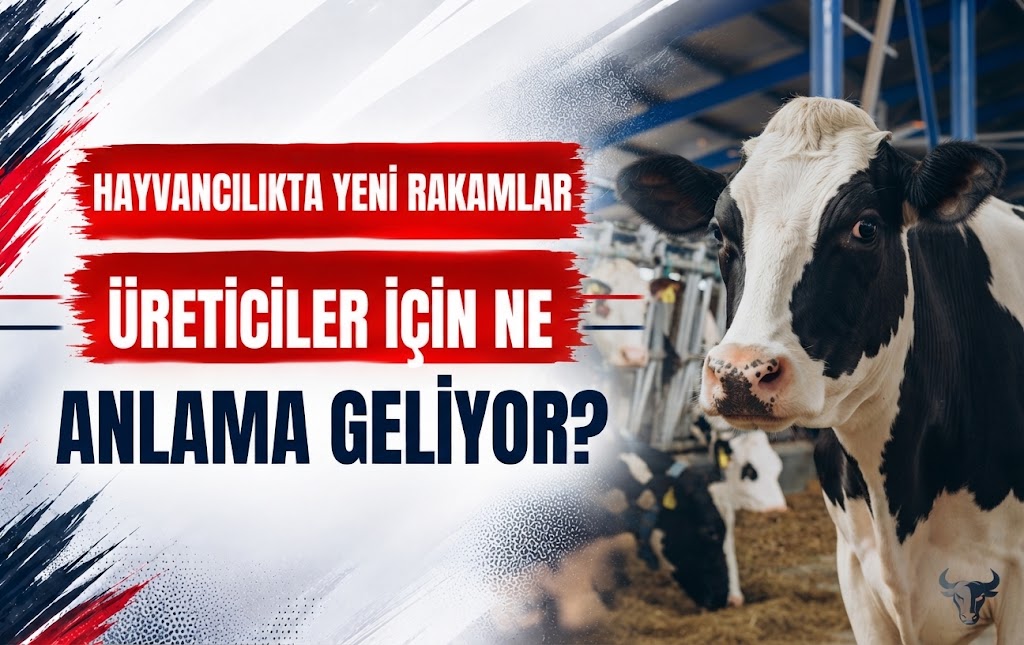 Hayvancılıkta Yeni Rakamlar Yalova’daki Üreticiler İçin Ne Anlama Geliyor?