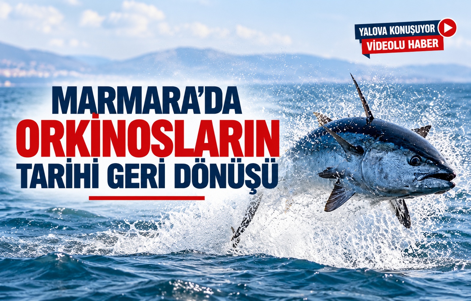Marmara’da Orkinosların Tarihi Geri Dönüşü