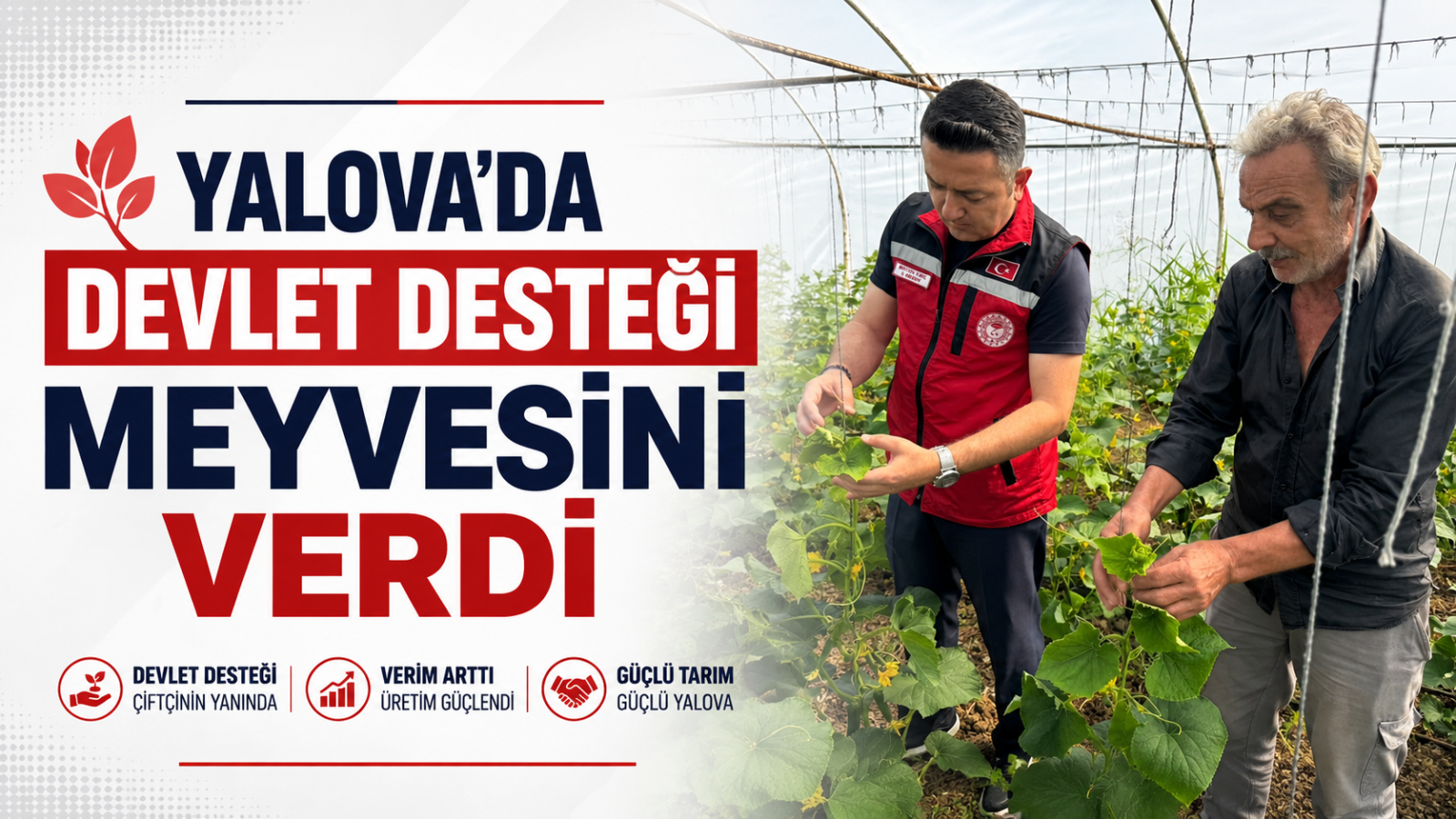 Yalova'da Devlet Desteği Meyvesini Verdi