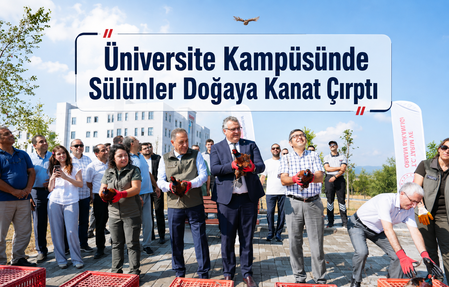Üniversite Kampüsünde Sülünler Doğaya Kanat Çırptı