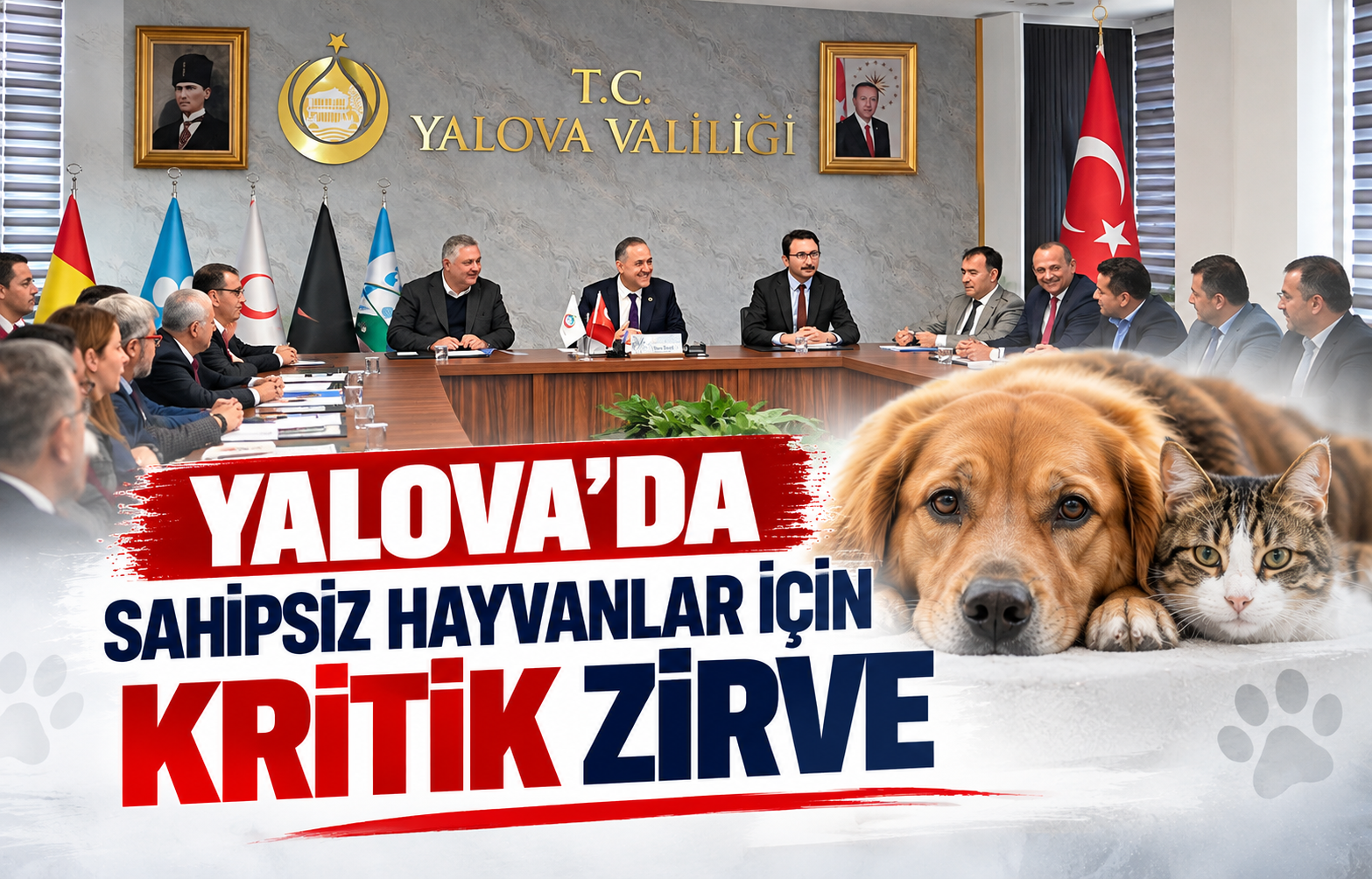 Yalova’da Sahipsiz Hayvanlar İçin Kritik Zirve