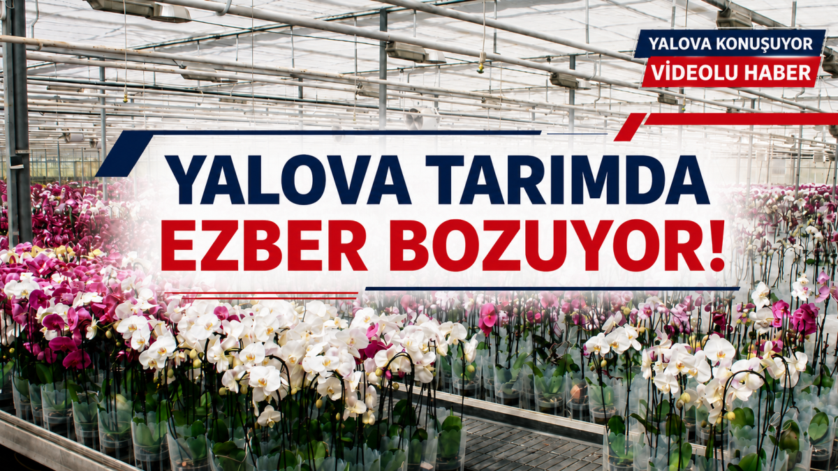 YALOVA TARIMDA EZBER BOZUYOR!