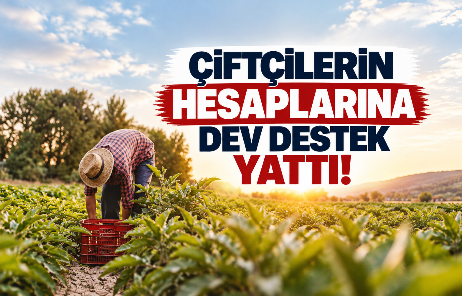 Çiftçilerin Hesaplarına Dev Destek Yattı!