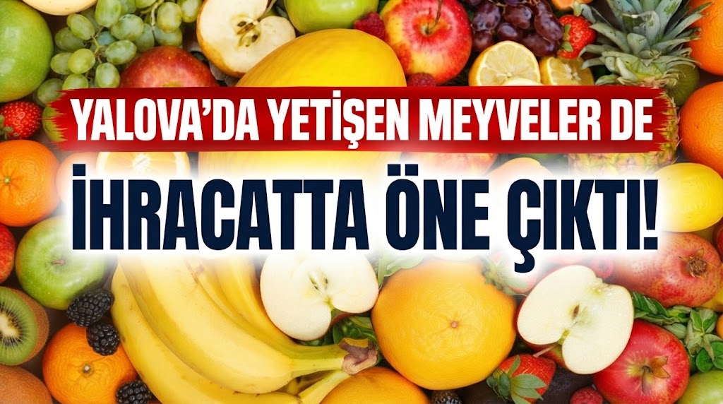 YALOVA’DA YETİŞEN MEYVELER DE İHRACATTA ÖNE ÇIKTI!