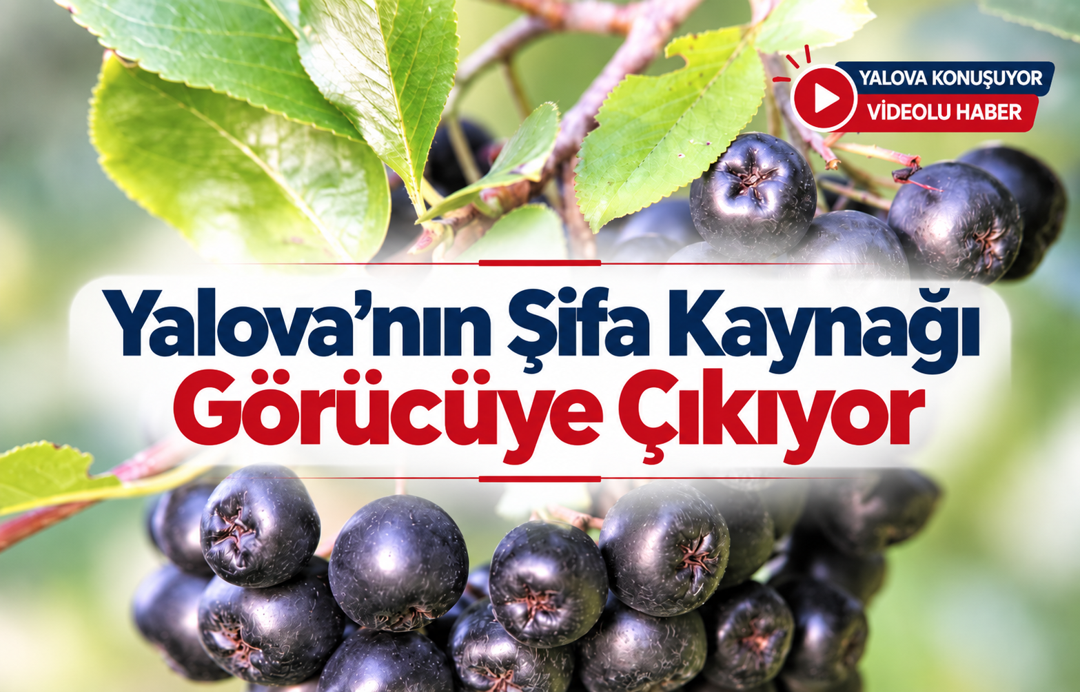 Yalova'nın Şifa Kaynağı Görücüye Çıkıyor