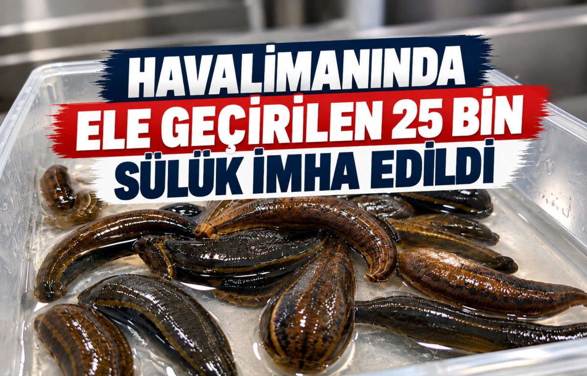 HAVALİMANINDA ELE GEÇİRİLEN 25 BİN SÜLÜK İMHA EDİLDİ