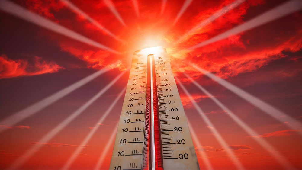 Güney Kore'de Sıcaklık Alarmı