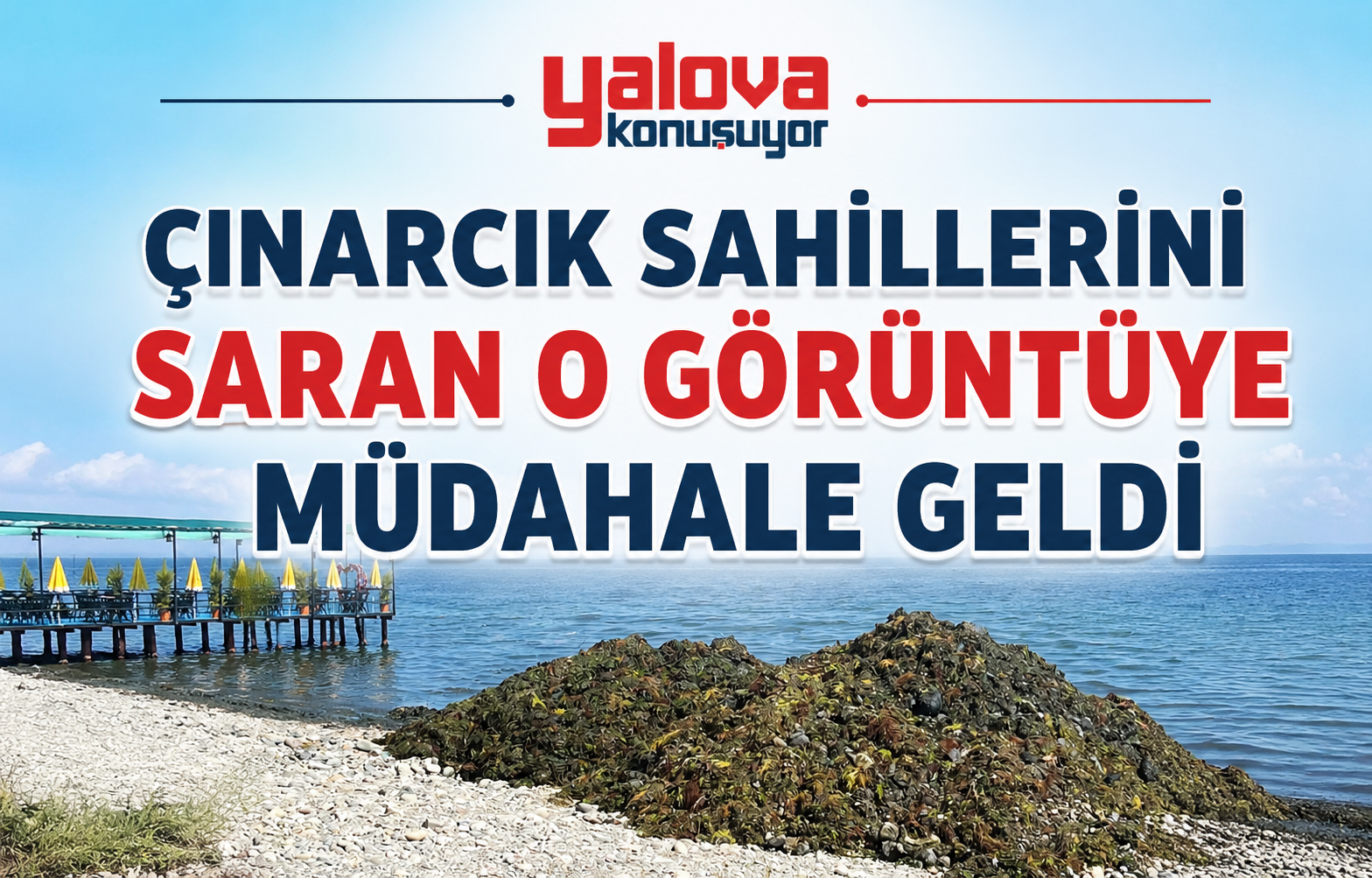 Çınarcık Sahillerini Saran O Görüntüye Müdahale Geldi! Ekipler Hummalı Çalışma Başlattı