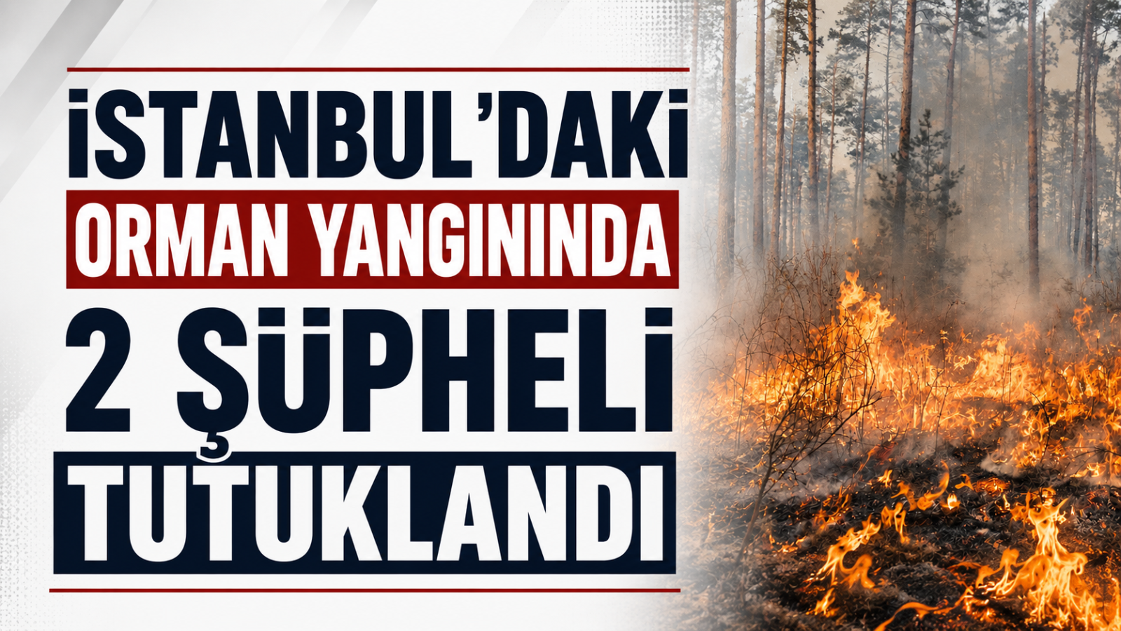 Sultanbeyli'deki Orman Yangınında Şok Detay: Suçüstü Yakalanan 2 Şüpheli Neden Daha Önce İşlem Görmüştü?