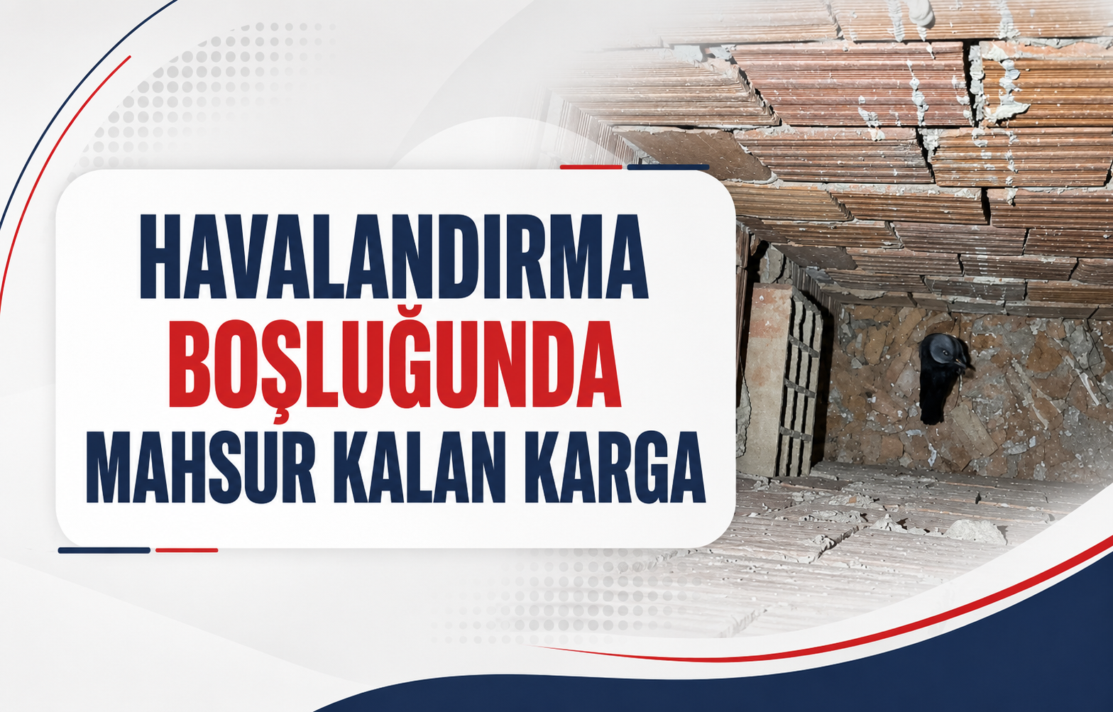 Havalandırma Boşluğunda Mahsur Kalan Karga