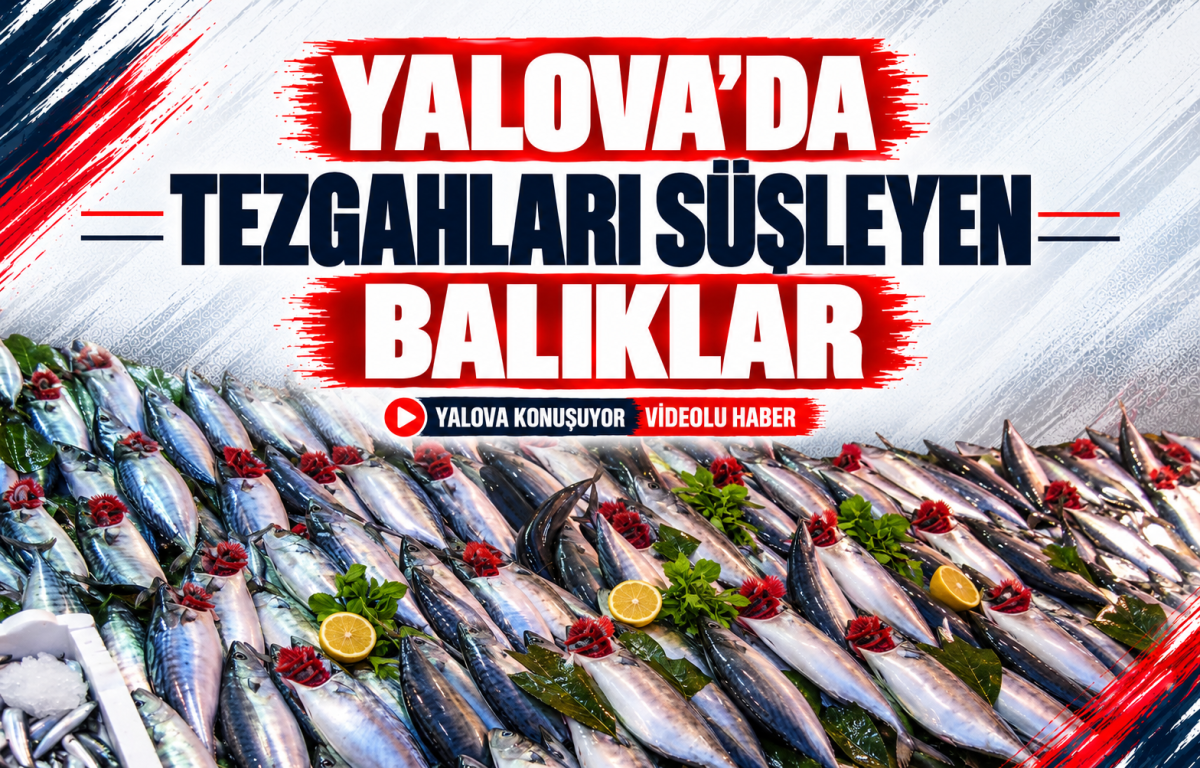 Yalova’da Tezgahları Süsleyen Balıklar