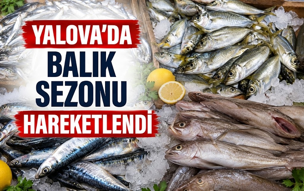 YALOVA’DA BALIK SEZONU HAREKETLENDİ