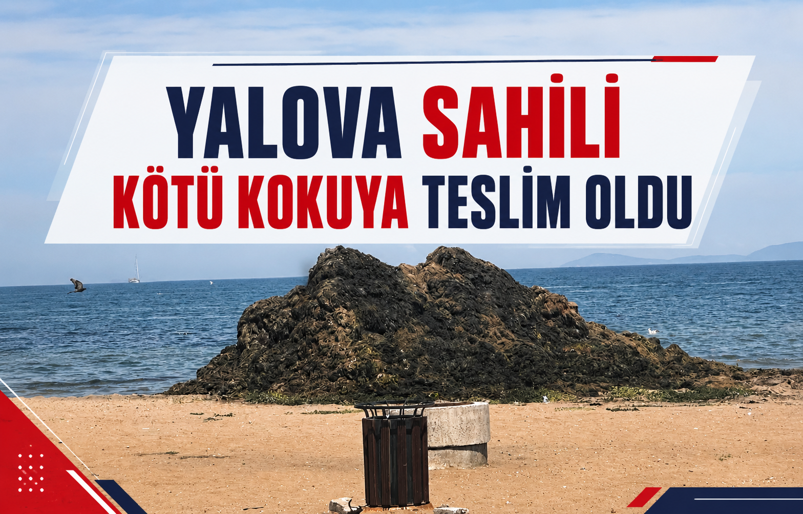 Yalova Sahili Kötü Kokuya Teslim Oldu