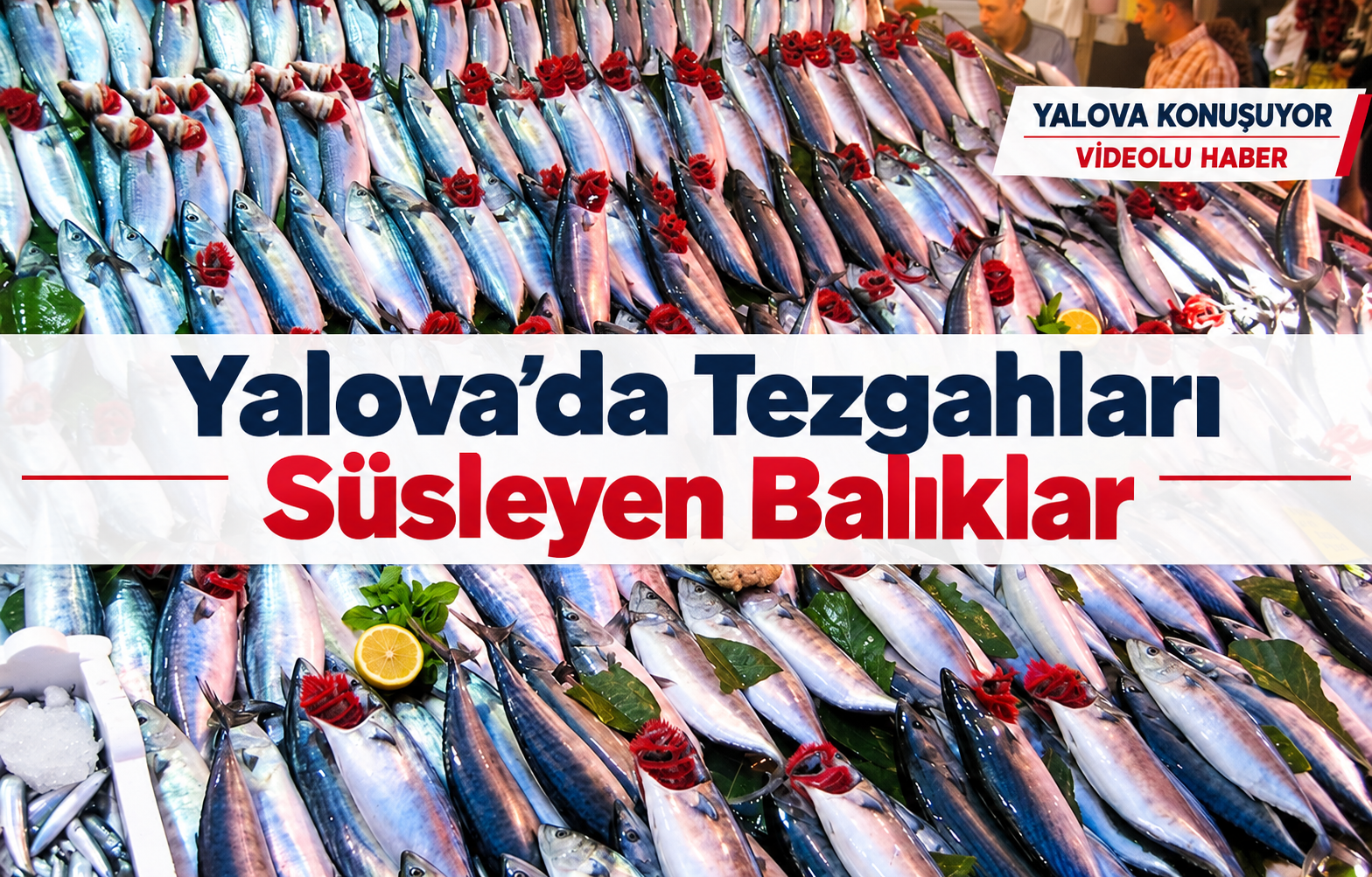 Yalova’da Tezgahları Süsleyen Balıklar - Galeri