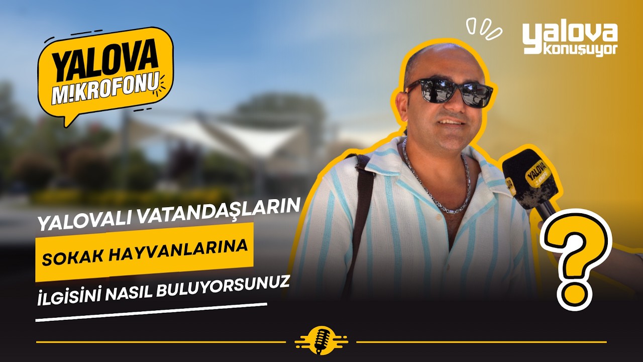 Yalovalılar sokak hayvanlarına sahip çıkıyor: “Çoğu ile göre çok daha duyarlıyız”