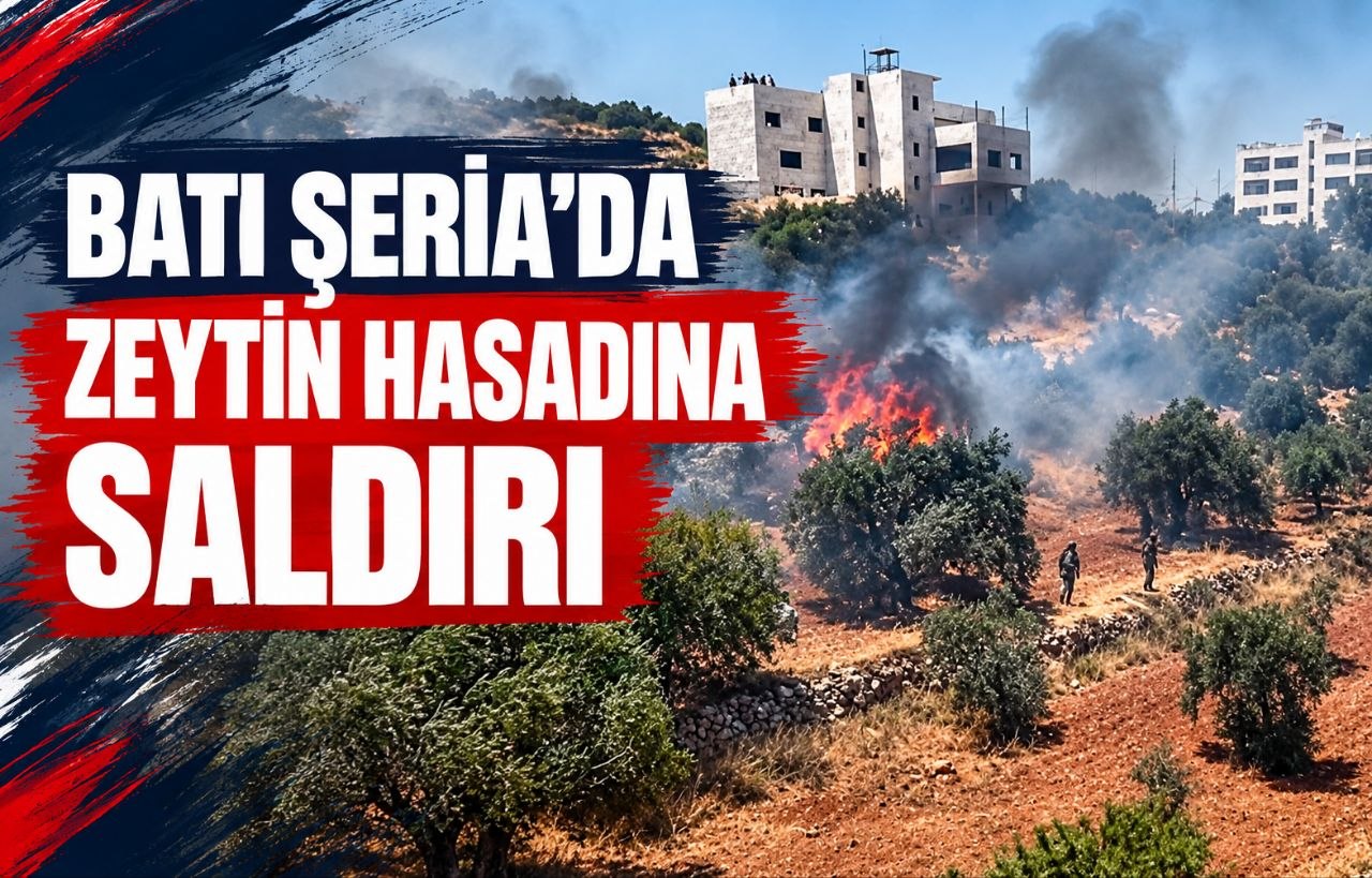 BATI ŞERİA’DA ZEYTİN HASADINA SALDIRI