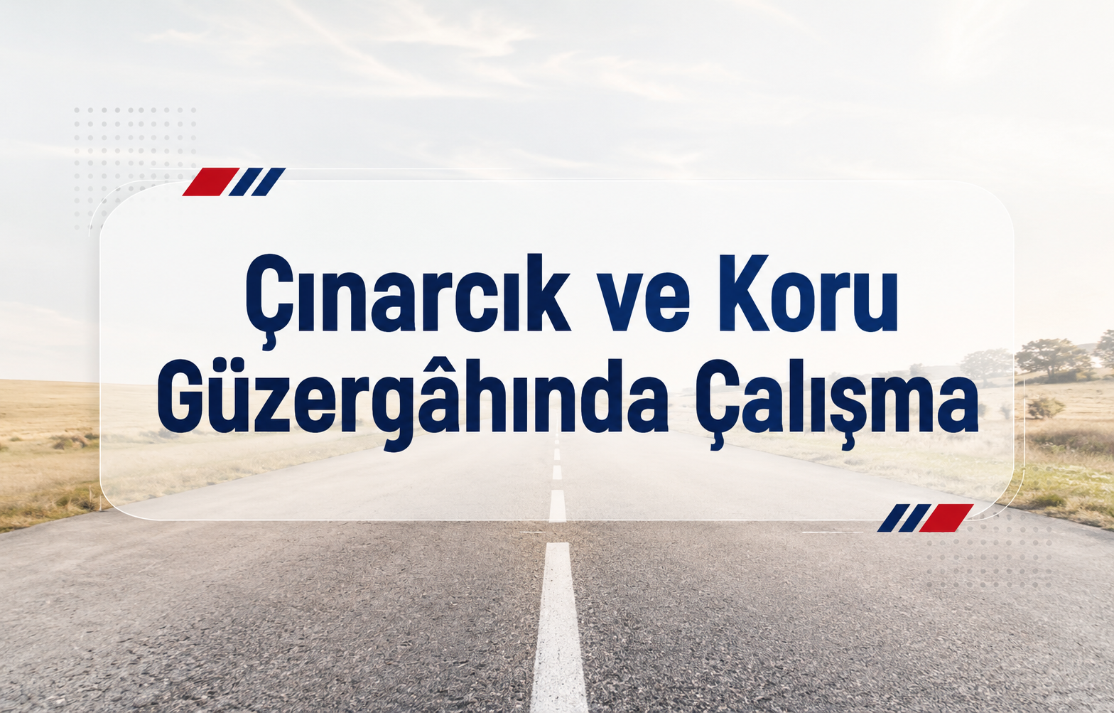 Çınarcık ve Koru Güzergâhında Çalışma