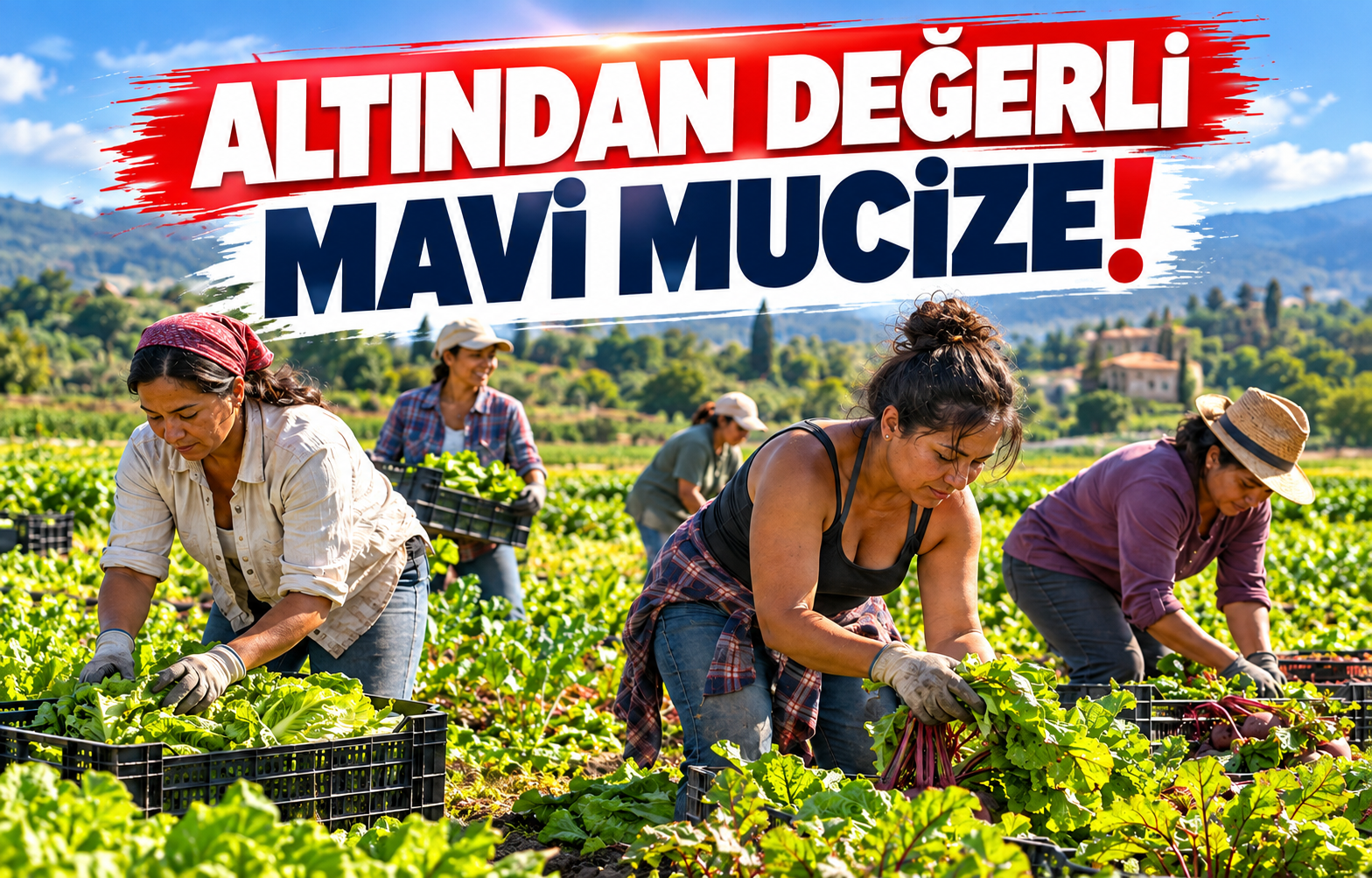 ALTINDAN DEĞERLİ MAVİ MUCİZE!