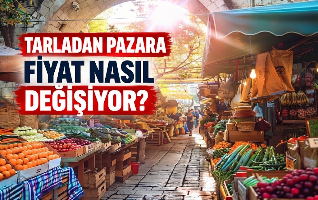 TARLADAN PAZARA FİYAT NASIL DEĞİŞİYOR? - Galeri