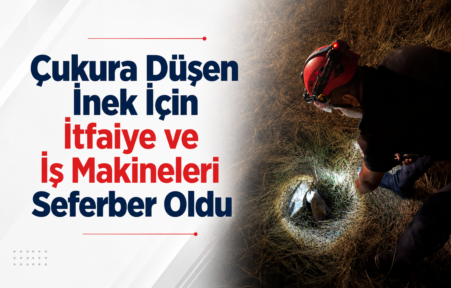 Çukura Düşen İnek İçin İtfaiye ve İş Makineleri Seferber Oldu