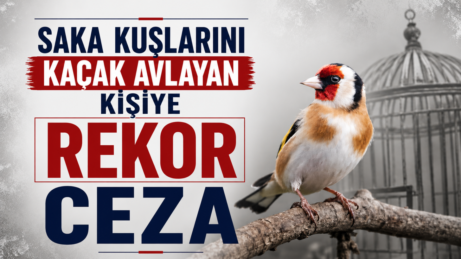 Adana’da Saka Kuşlarını Kaçak Avlayan Kişiye Rekor Ceza