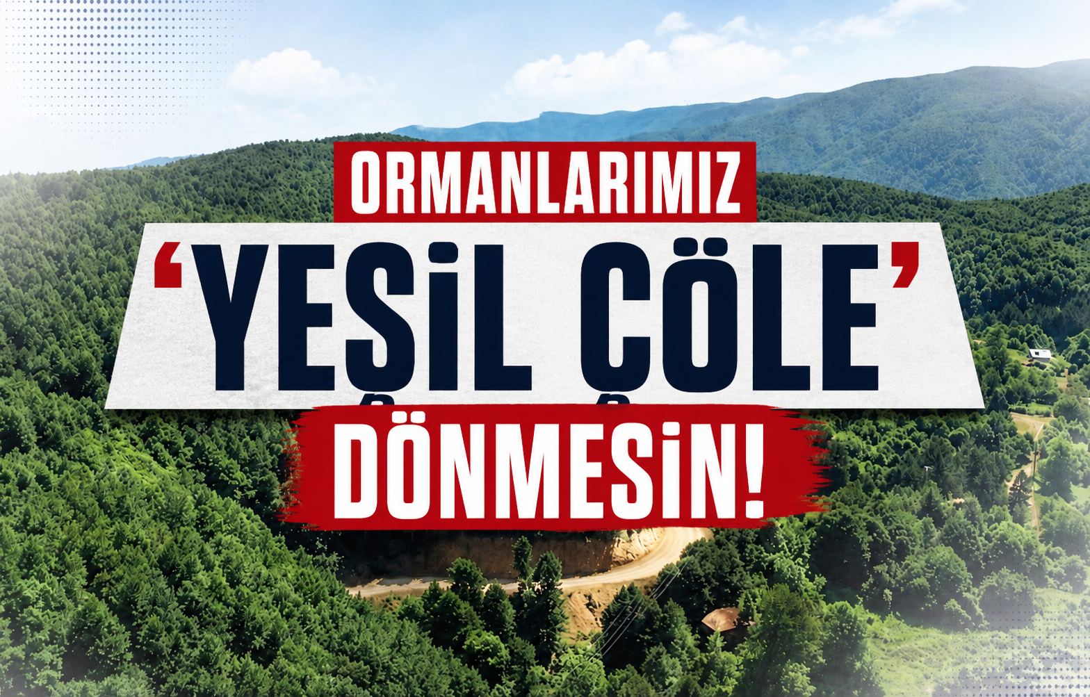 Ormanlarımız ‘yeşil çöle’ dönmesin!