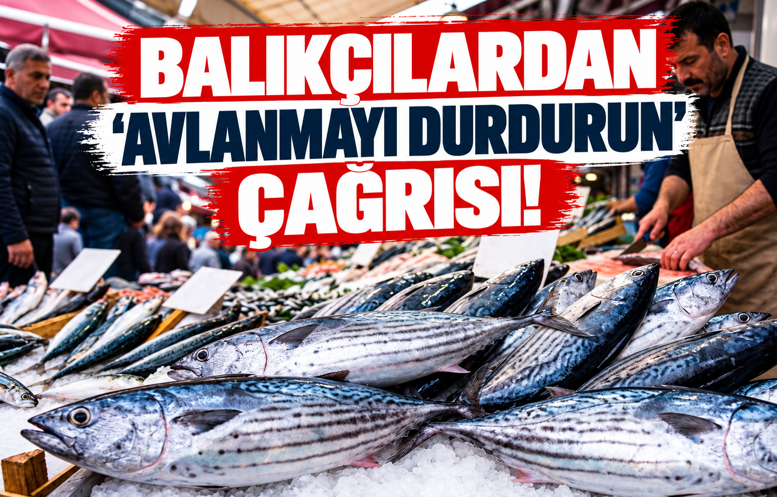 BALIKÇILARDAN 'AVLANMAYI DURDURUN' ÇAĞRISI!