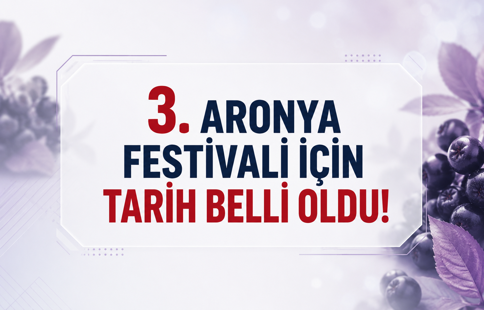 Yalova’da Festival Coşkusu Başlıyor: 3. Aronya Festivali İçin Tarih Belli Oldu!