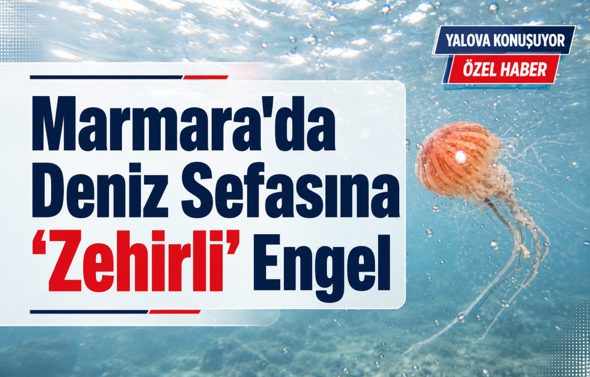 Marmara'da Deniz Sefasına ‘Zehirli’ Engel - Galeri