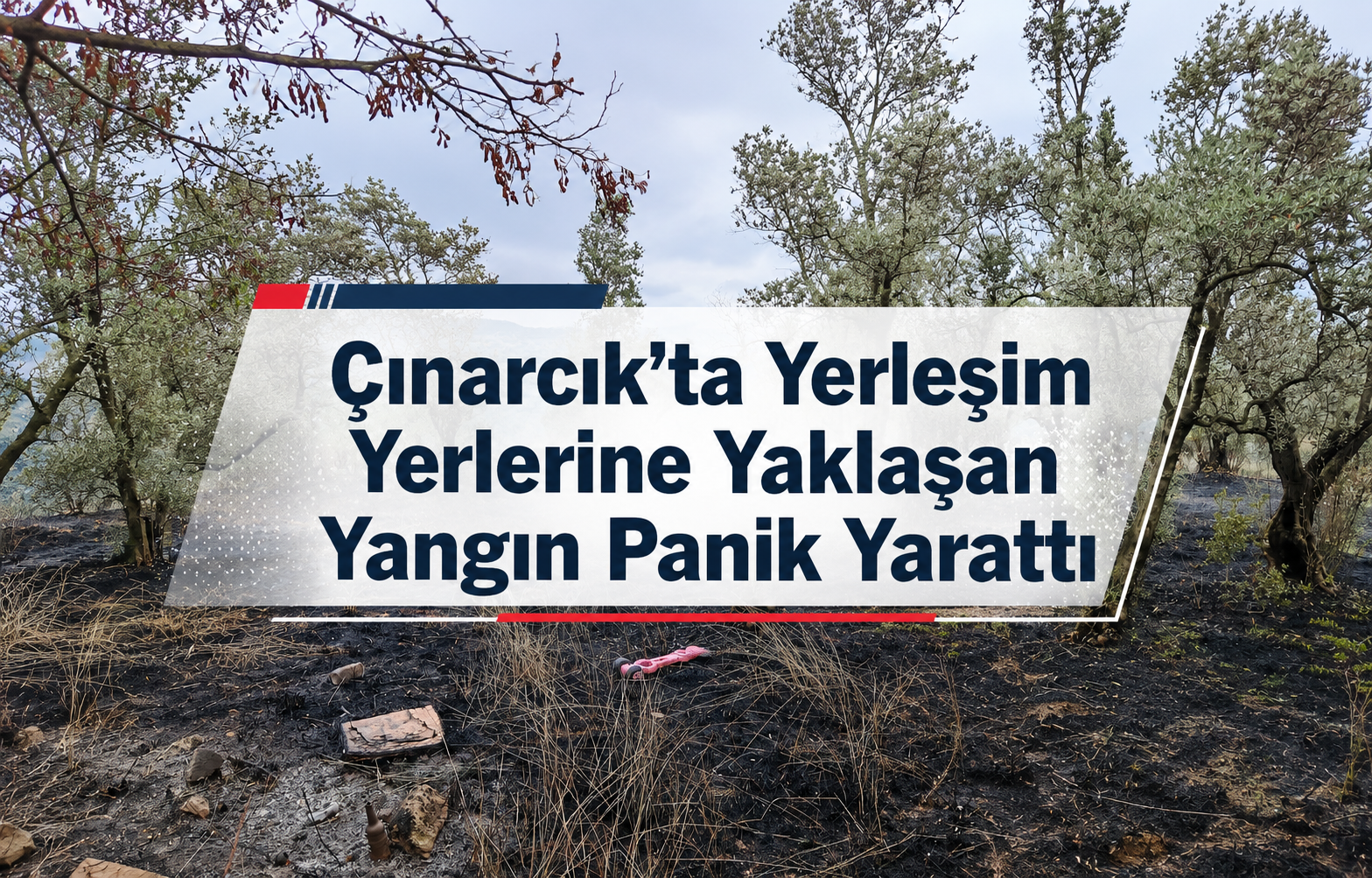Çınarcık’ta Yerleşim Yerlerine Yaklaşan Yangın Panik Yarattı