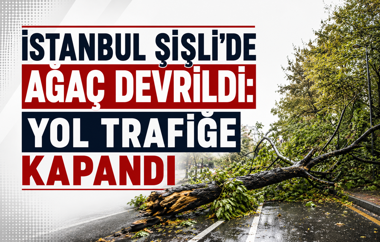 Şişli'de Korkutan Olay: Araçların Üzerine Devrilen Ağaç Yolu Trafiğe Kapattı