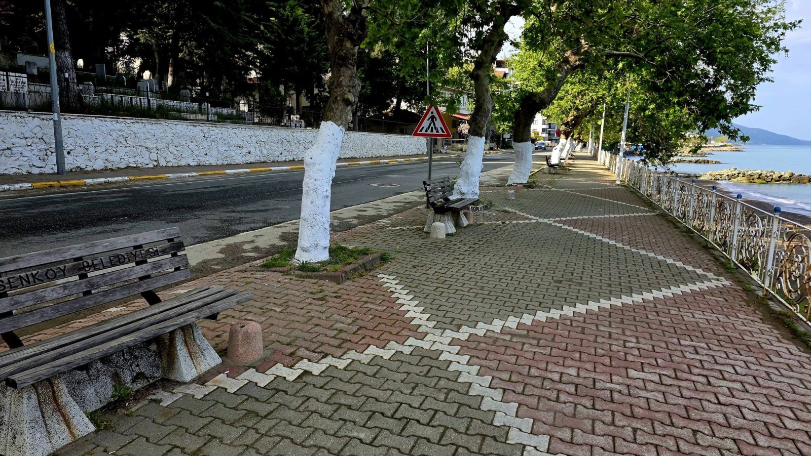Esenköy Sahilinde Tarihi Mirasa Beyaz Dokunuş: Asırlık Çınarlar Geleceğe Hazırlanıyor