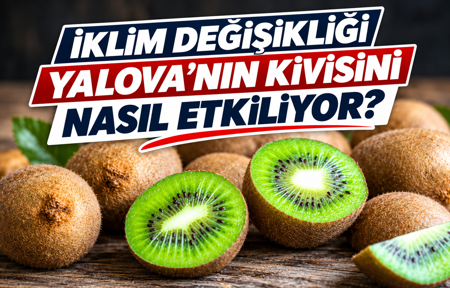 İKLİM DEĞİŞİKLİĞİ YALOVA'NIN KİVİSİNİ NASIL ETKİLİYOR?