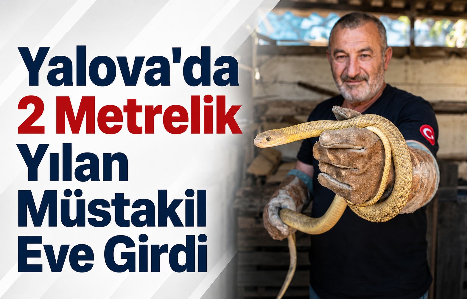 Yalova'da Müstakil Eve Giren 2 Metrelik Yılanın Nefes Kesti