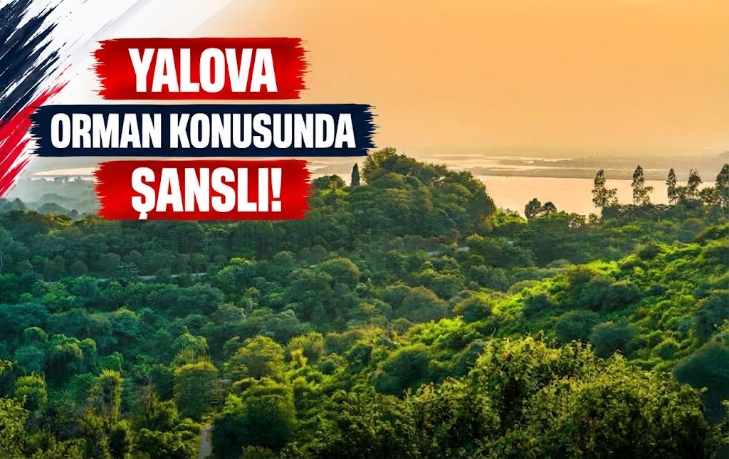 Yalova Orman Konusunda Şanslı!