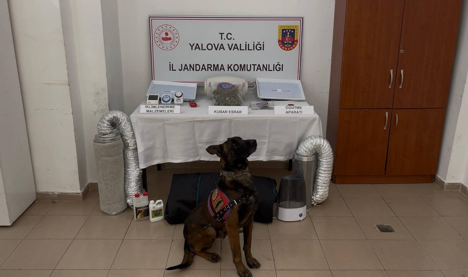 Yalova’da Zehir Tacirlerine Ağır Darbe: Evini Kenevir Serasına Çeviren Şüpheli Yakalandı