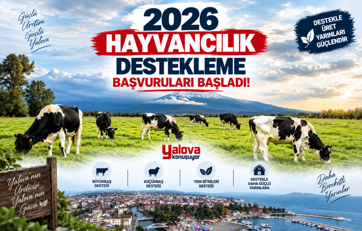 Yalovalı Üreticilerin Beklediği Haber Geldi: 2026 Hayvancılık Destekleme Başvuruları Başladı! - Galeri