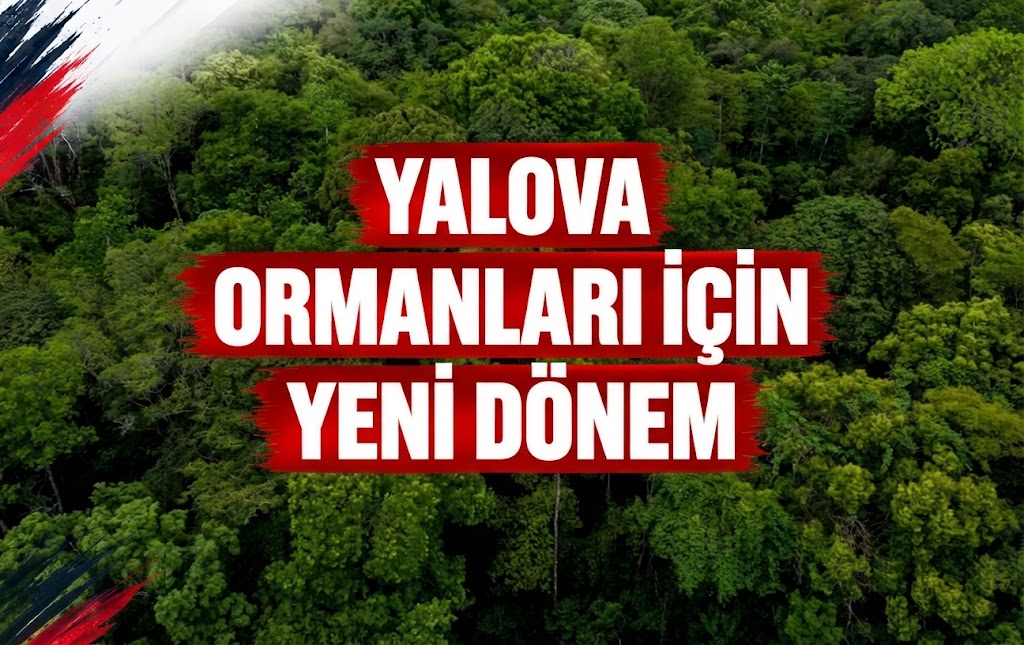 YALOVA ORMANLARI İÇİN YENİ DÖNEM