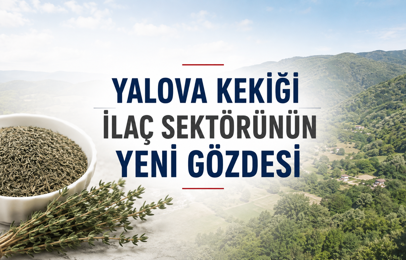 Yalova Kekiği İlaç Sektörünün Gözdesi - Galeri