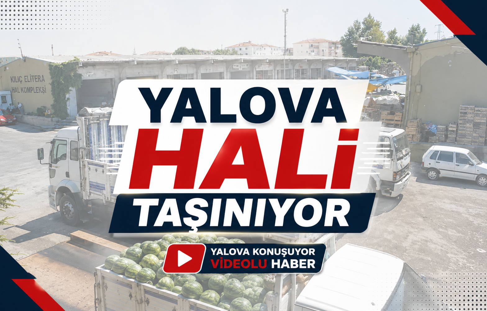 Yalova Hali Taşınıyor