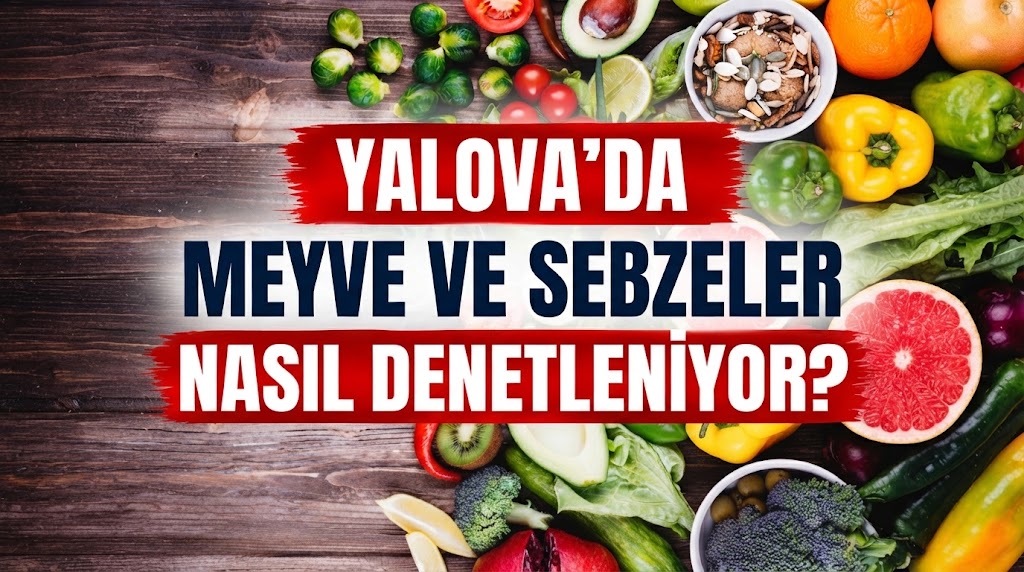 YALOVA’DA MEYVE VE SEBZELER NASIL DENETLENİYOR?