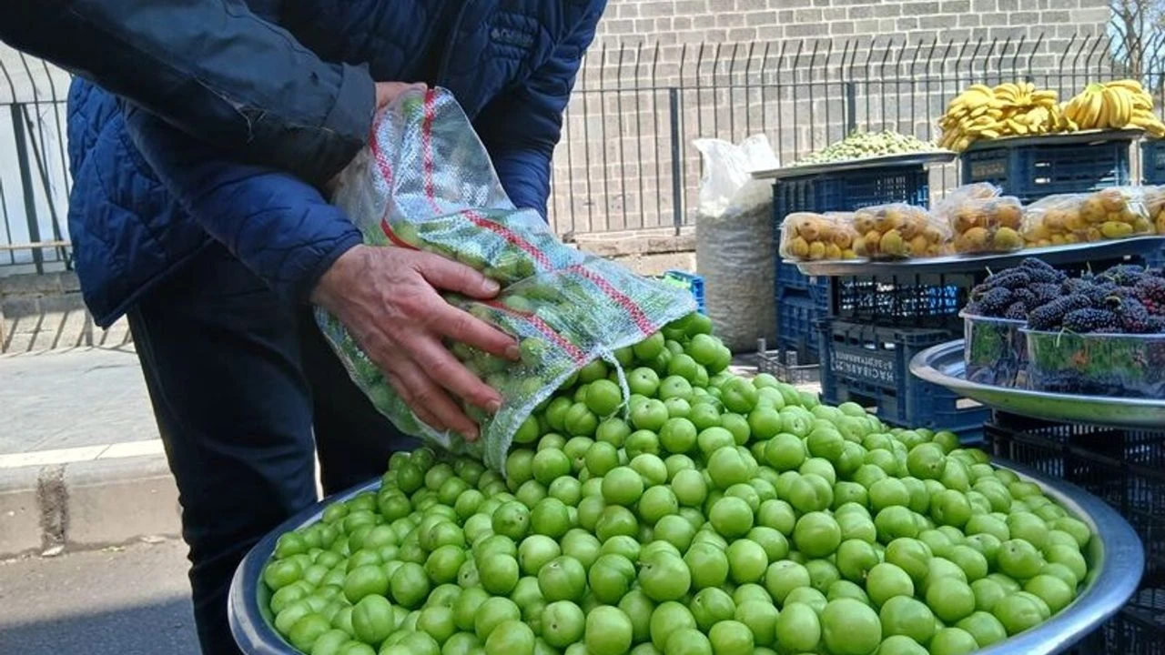 Yalova’da Yeşil Erik Cep Yakıyor