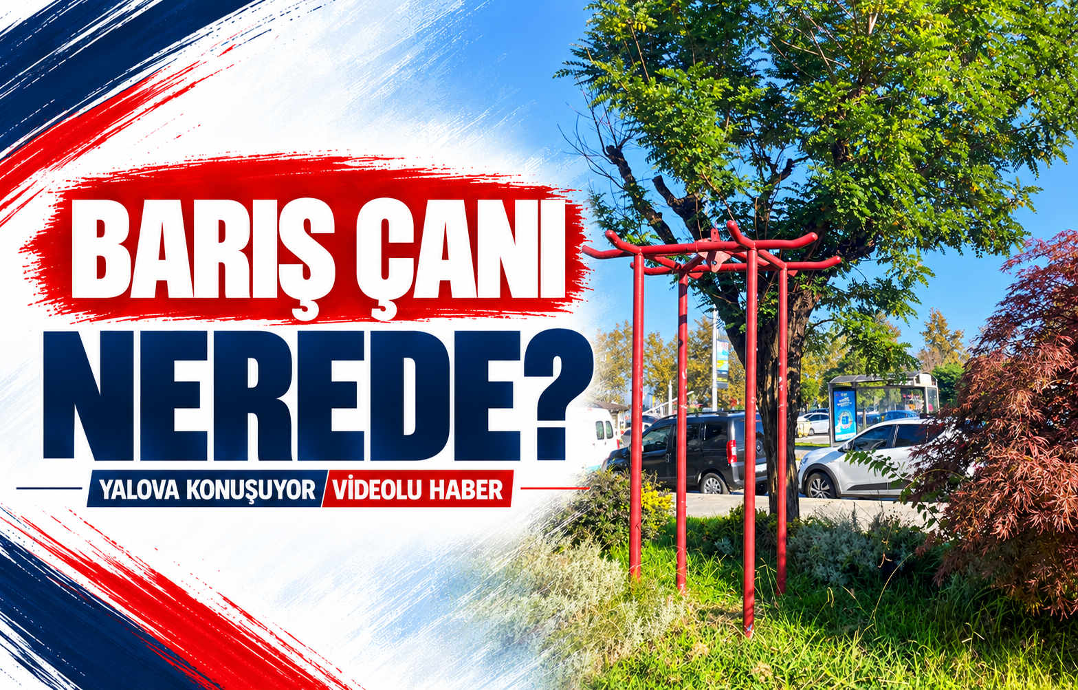 BARIŞ ÇANI NEREDE?
