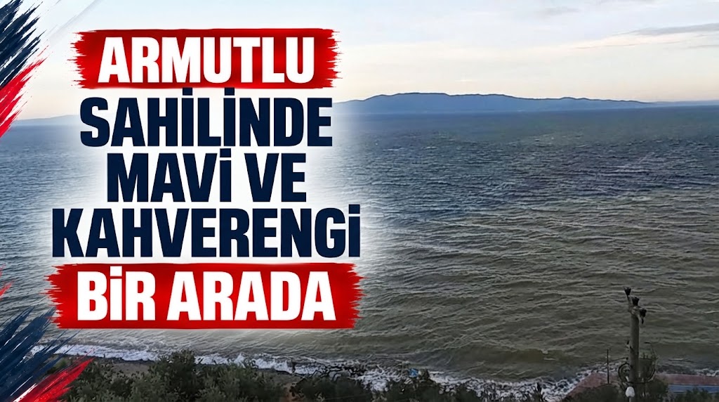 ARMUTLU SAHİLİNDE MAVİ VE KAHVERENGİ BİR ARADA