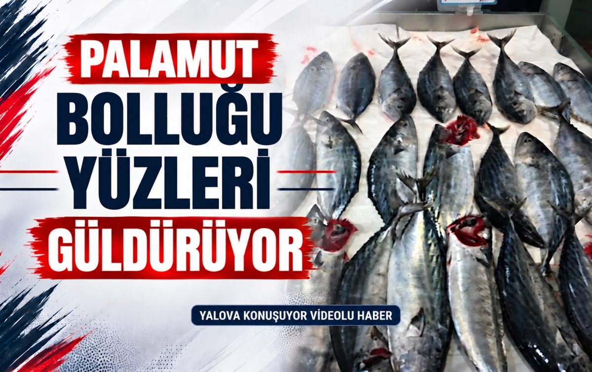 PALAMUT BOLLUĞU YÜZLERİ GÜLDÜRÜYOR