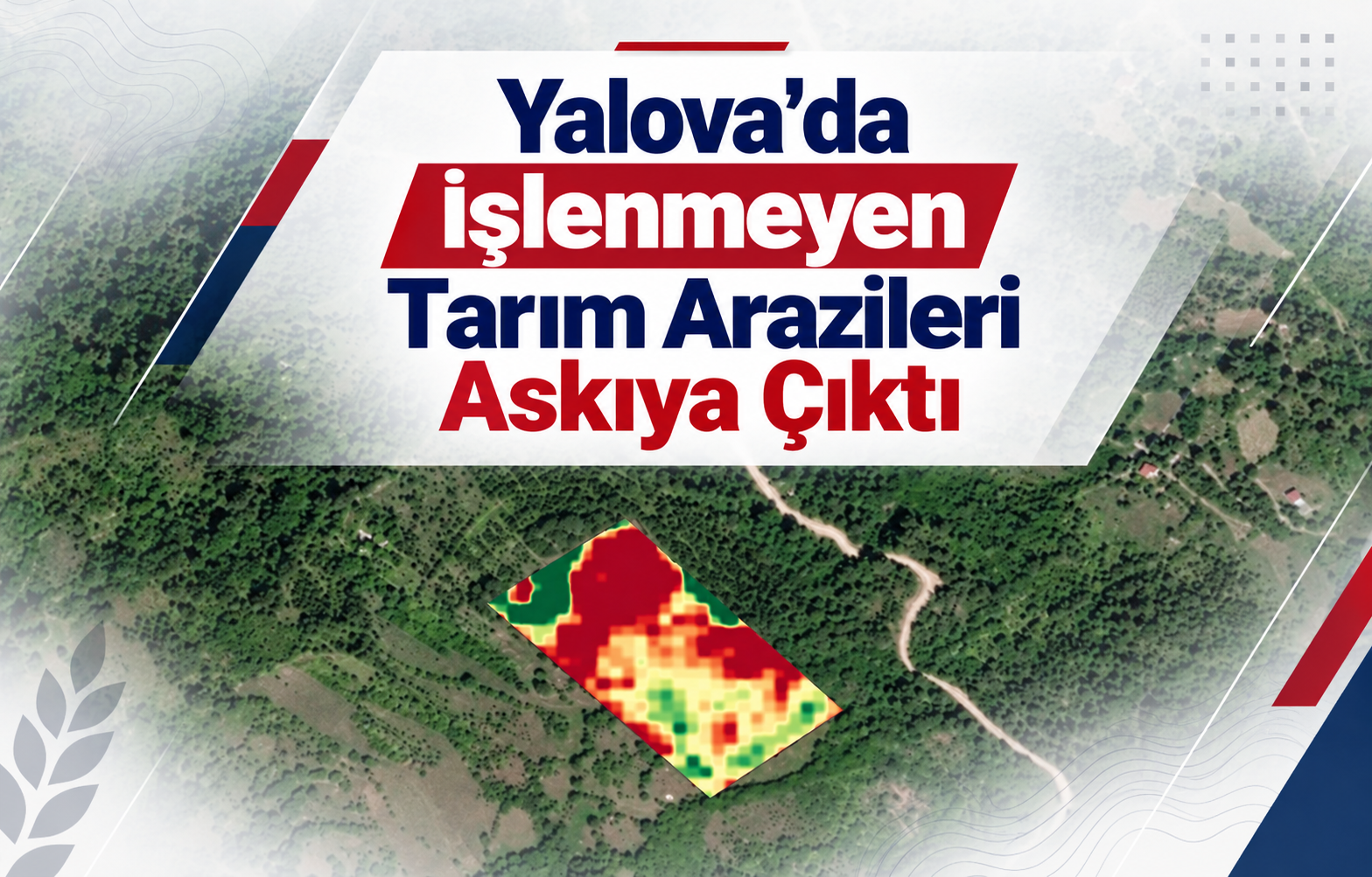 Yalova'da İşlenmeyen Tarım Arazileri Askıya Çıktı